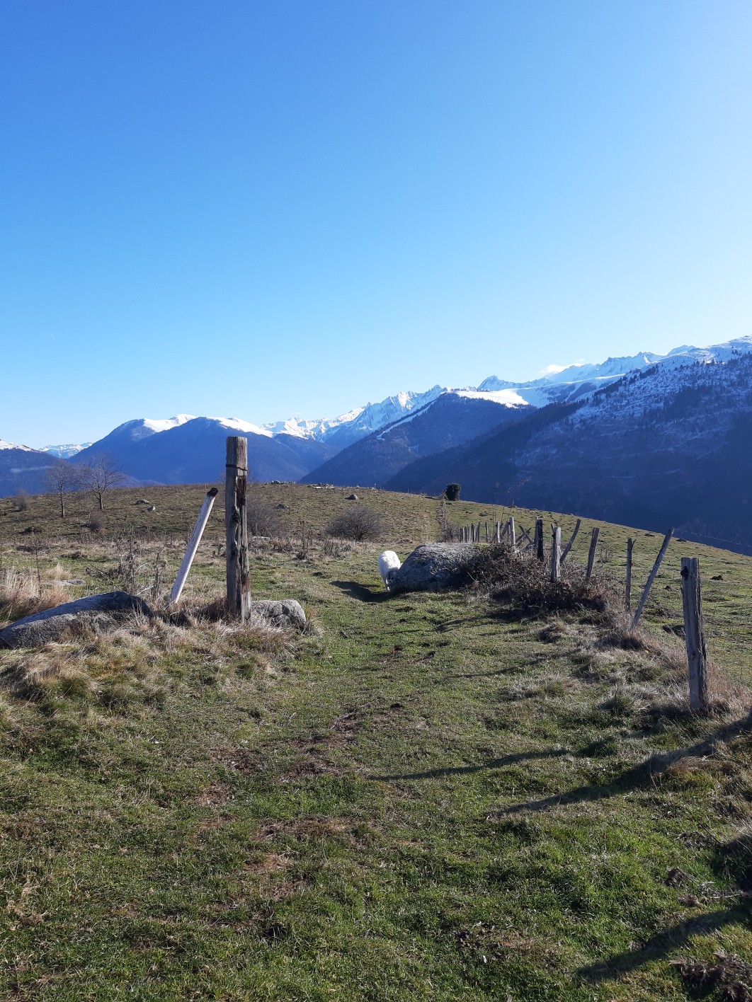 Paysage d’été